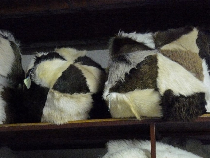 photo11