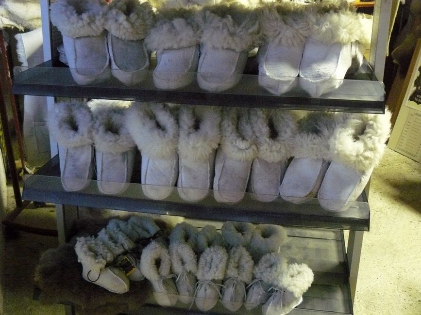 photo13